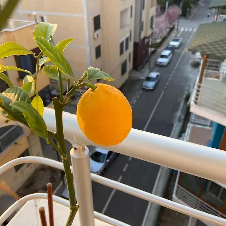 Nora Apartmán *